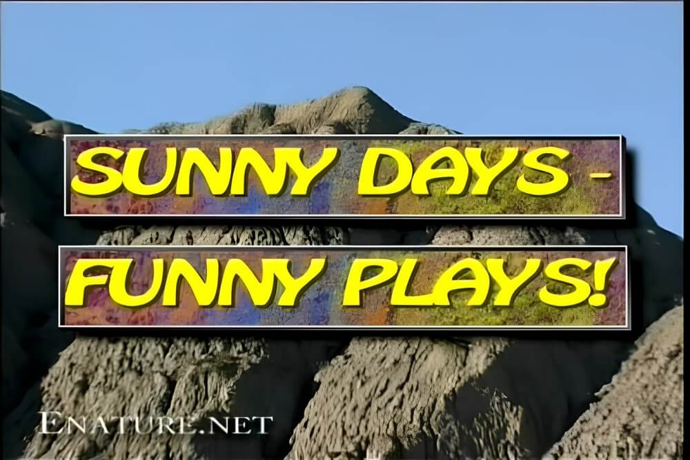 Enature - Sunny Days – Funny Plays - nudism and naturism