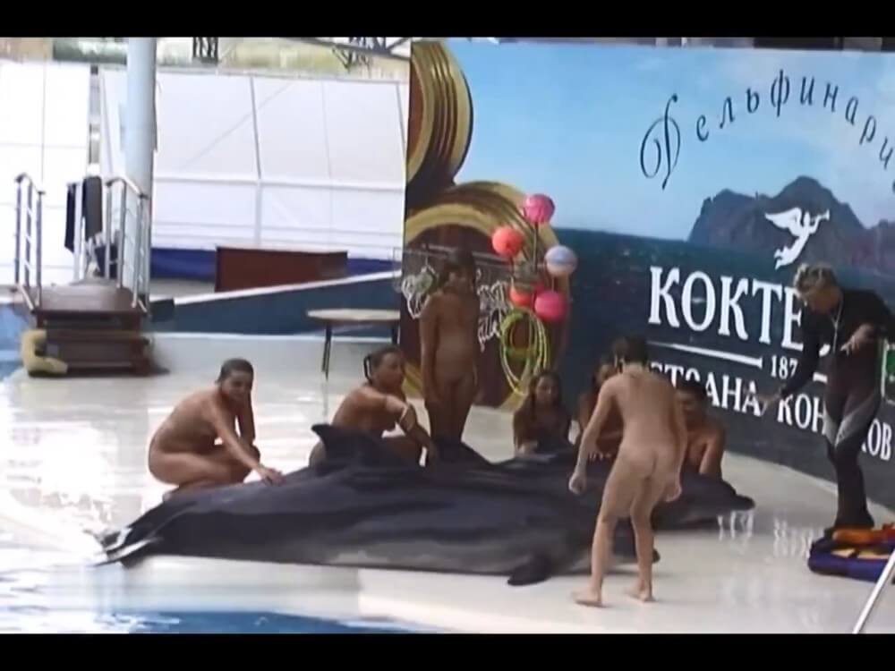 Relaxing at the dolphinarium - nudism and naturism